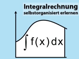 Integralrechnung selbstorganisiert lernen