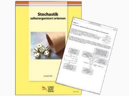 Stochastik selbstorganisiert erlernen