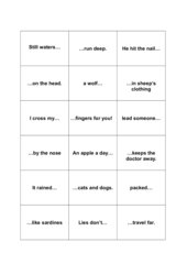 Memo-Spiel / Zuordnungsspiel mit englischen Sprichwörtern