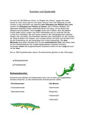 Evolution und Systematik Amphibien