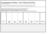 Langzeitbeobachtung - Frühling bis Sommer - Biologie - HSU - 3. Klasse