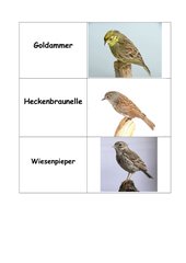 27 verschiedene Vogelarten...