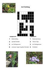 einfaches Kreuzworträtsel, ab Klasse 2, Frühblüher