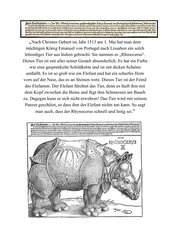 Dürers Rhinozeros zerlegt