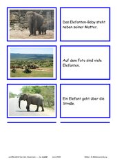 Lesekarten - Elefanten (Zuordnung Bild - Satz)