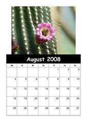 Kalender 2008/09 Teil 1
