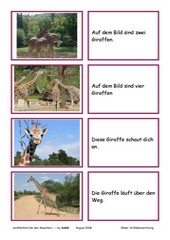 Lesekarten Giraffe (Zuordnung Bild - Satz)