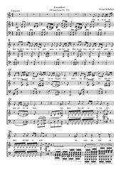 Franz Schubert - Einsamkeit (Nr. 12 der 