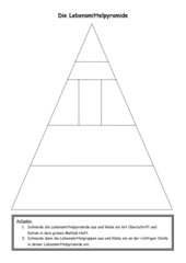 Lebensmittelpyramide, blanko