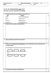 Klassenarbeit Biologie Nervensystem Kl. 8