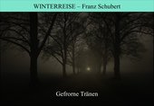 Schubert: Gefrorne Tränen, Nr. 3 aus der Winterreise