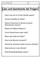 Leseübungsblatt zur Fibel 'Mimi die Lesemaus' Bayern - ab Au au einsetzbar - Fragen beantworten