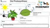 Arbeitsblatt Photosynthese S I Hauptschule