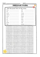 Irregular Plural Word Search