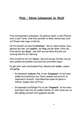 Pilz Info Arbeitsblatt 3 und 4 Klasse