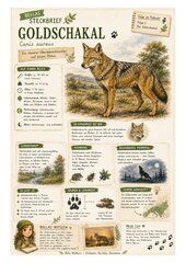 Goldschakal – kostenloses Materialpaket für Sachunterricht & Naturbildung | Bella Wildherz