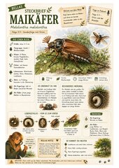 Maikäfer – kostenloses Materialpaket für Sachunterricht & Naturbildung | Bella Wildherz