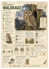 Waldkauz – kostenloses Materialpaket für Sachunterricht & Naturbildung Bella Wildherz