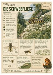 Hainschwebfliege – kostenloses Materialpaket für Sachunterricht & Naturbildung | Bella Wildherz Hainschwebfliege – kostenloses Materialpaket für Sachunterricht & Naturbildung | Bella Wildherz