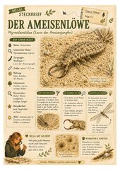 Ameisenlöwe – kostenloses Materialpaket für Sachunterricht & Naturbildung | Bella Wildherz Ameisenlöwe – kostenloses Materialpaket für Sachunterricht & Naturbildung | Bella Wildherz
