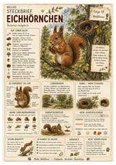 Eichhörnchen – kostenloses Materialpaket für Sachunterricht & Naturbildung | Bella Wildherz