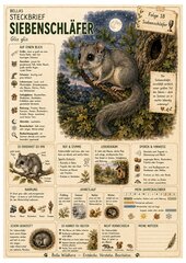 Siebenschläfer – kostenloses Materialpaket für Sachunterricht & Naturbildung | Bella Wildherz