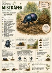 Mistkäfer – kostenloses Materialpaket für Sachunterricht & Naturbildung | Bella Wildherz Mistkäfer – kostenloses Materialpaket für Sachunterricht & Naturbildung | Bella Wildherz