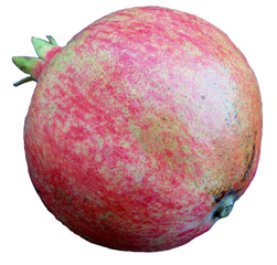 Granatapfel #1 - Frucht, Granatapfel, Grenadine, Vitamine, Obst