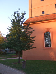 Birnbaum des Herrn von Ribbeck - Gedicht, Herr von Ribbeck auf Ribbeck, Grab, Birnbaum, Havelland, Ballade, Theodor Fontane