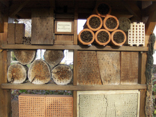 Insektenhotel #2 - Nisthilfen, nisten, brüten, Höhle, Insekten, Natur, Naturschutz