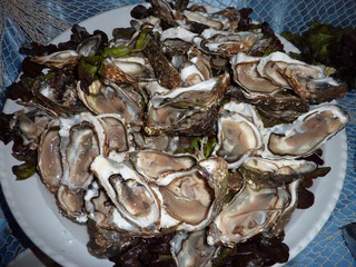 Austern - Austern, Muscheln, Lebensmittel, Weichtier, Schalenweichtier