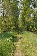 Wege # 3 - Weg, Schiene, Gleis, Eisenbahn, alt, Perspektive, Erzählanlass, gerade, verwachsen, Meditation, Fluchtpunkt