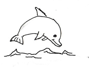 Delfin - Tier, Meer, Säugetier, Delfin, Delphin, springen, Anlaut D