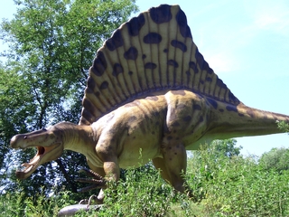 Dinosaurier 1 - Urzeit, Dinosaurier, Saurier, groß, ausgestorben, Urzeittier, Urzeittiere, gefährlich, Krallen