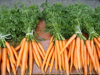 Karotten - Karotte, Karotten, Möhre, Möhren, Mohrrübe, Gelbe Rübe, Ruebli, Gemüse