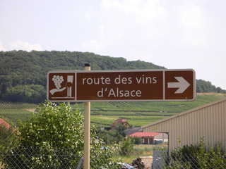 Elsässer Weinstrasse - Frankreich, Schild, panneau, Elsass, Alsace, Weine, Weinstraße, vin, route des vins
