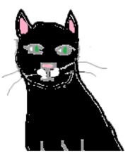 Katze#2_schwarz - Katze, Haustier, schwarz, Schwarzer Kater, bunt, Kopf, Wörter mit tz