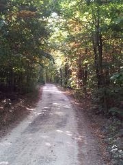 Waldweg - Herbstfarben, Herbst, Blattfärbung, Sonne, Himmel, Herbstlaub, Laub, Blätter, bunt, Schreibanlass, Meditation
