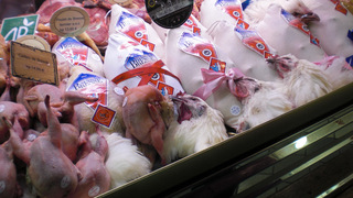 Poulets et cailles de Bresse - Frankreich, civilisation, Markt, marché, poulet, caille, Bresse, Wachteln, Hühner, Geflügel, Gefügelfleisch