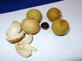 Longan-Früchte - Longan, Seifenbaum, Dimocarpus longan, Asien, gelb, Schale, Frucht