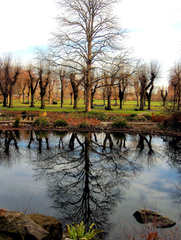 Winterimpression im Park - Winter, Impression, Park, Bäume, Teich, Wasser, Reflexion, Symmetrie, symmetrisch, Baum, Spiegelbild, Spiegelung, Himmel, kahl, Ruhe, Meditation