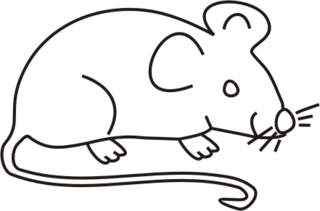 Maus weiß - Maus, Nagetier, Anlaut M, fröhlich, Illustration, Farbe, weiß