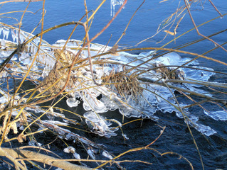 Eisgebilde am Flussufer #1 - Eis, Eiszapfen, Zweige, Winter, Winterimpressionen, kalt, eisig, Wasser, Fluss, gefroren, fest, flüssig, Aggregatzustand, Physik