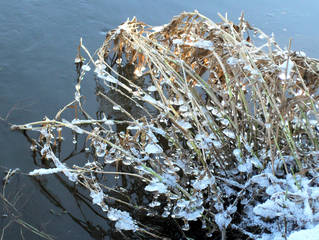 Eisgebilde am Flussufer #2 - Eis, Eiszapfen, Zweige, Winter, Winterimpressionen, kalt, eisig, Wasser, Fluss, gefroren, fest, flüssig, Aggregatzustand, Physik