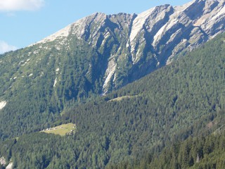 Berghang - Alpen, Schweiz, Gebirge, Berghang, Lichtung, Felsen, Baumgrenze, Landwirtschaft, Wald, Bäume