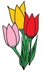 Clipart Tulpen - Tulpe, Tulpen, bunt, rot, gelb, rosa, Frühblüher, Illustration, Frühling, Zeichnung