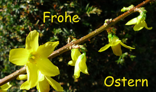 Ostergruß deutsch - Ostern, Ostergruß, frohe, Ostern, Grußkarte