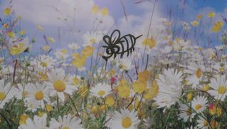 Bienchen auf Blumen - Bienchen, Graffiti, Blumen, Reklame, Bumenwiese, Blüten, Graffito