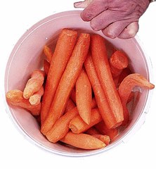 geputzte Möhren - Möhren, Karotten, geputzt, Gemüse, schälen, waschen, sauber