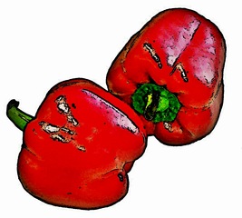 rote Paprika Zeichnung - zwei, rot, Paprika, Gemüse, Frucht